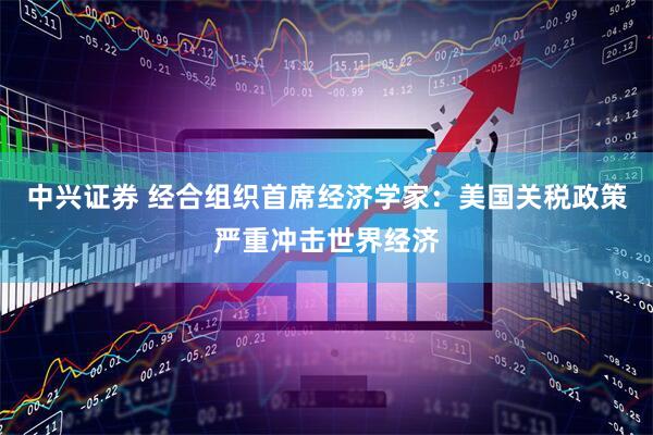 中兴证券 经合组织首席经济学家：美国关税政策严重冲击世界经济