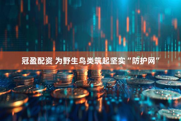 冠盈配资 为野生鸟类筑起坚实“防护网”