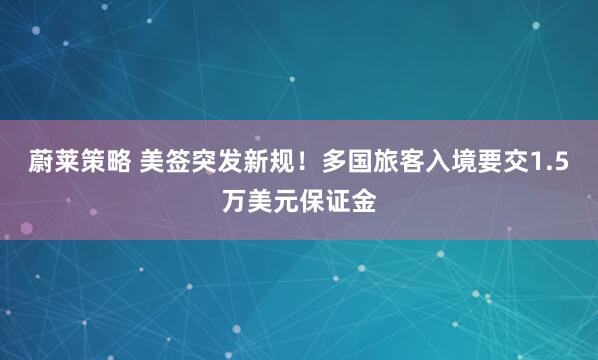 蔚莱策略 美签突发新规！多国旅客入境要交1.5万美元保证金