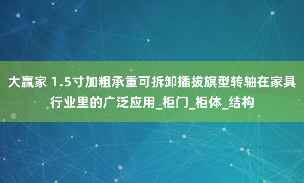 大赢家 1.5寸加粗承重可拆卸插拔旗型转轴在家具行业里的广泛应用_柜门_柜体_结构
