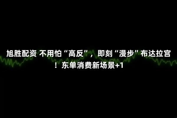 旭胜配资 不用怕“高反”，即刻“漫步”布达拉宫！东单消费新场景+1