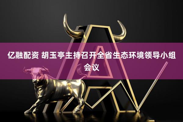 亿融配资 胡玉亭主持召开全省生态环境领导小组会议